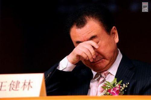 王健林商业帝国,上市公司构建与影响解析