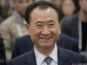 王健林商业帝国,上市公司构建与影响解析