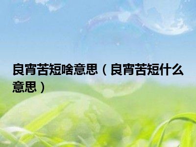 最新良苦，任务完成与技能学习详细步骤指南