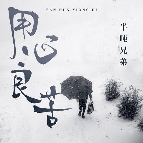 最新良苦,任务完成与技能学习详细步骤指南