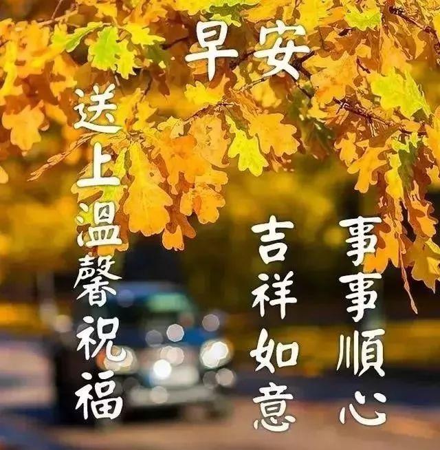 秋月最新——小巷深处的独特风情