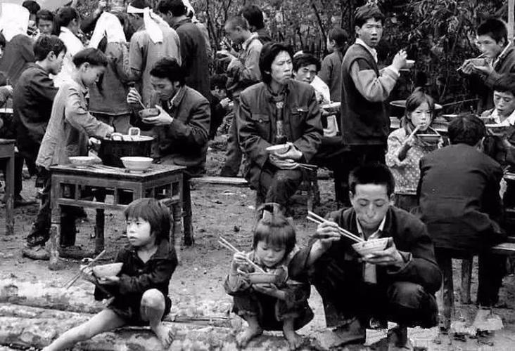 虫灾最新状况,自然美景背后的探索挑战