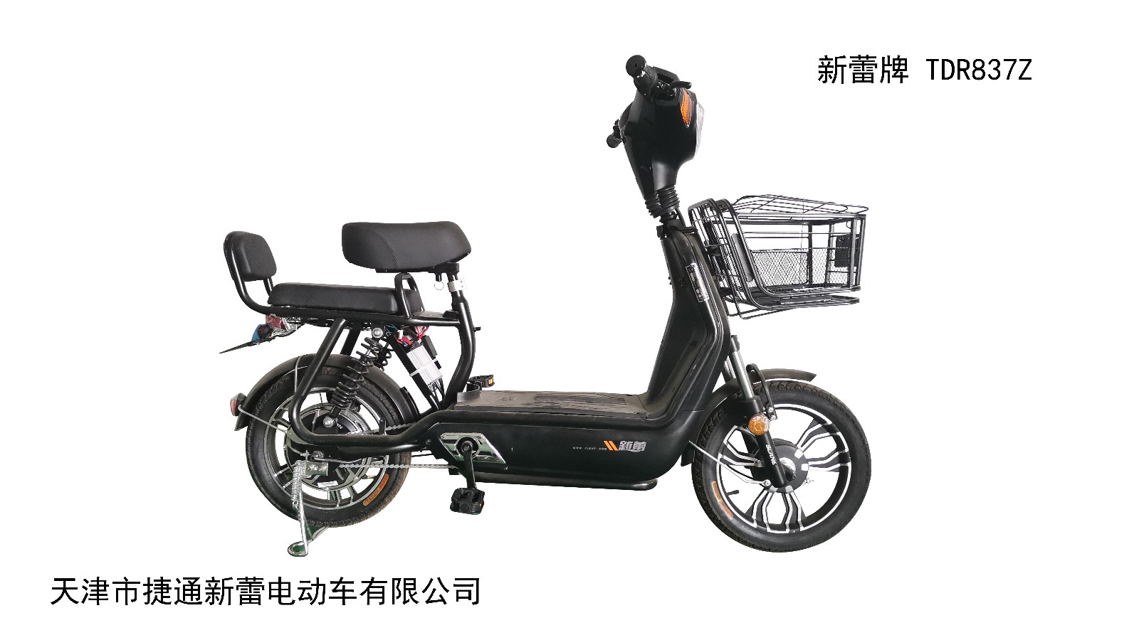 新蕾最新