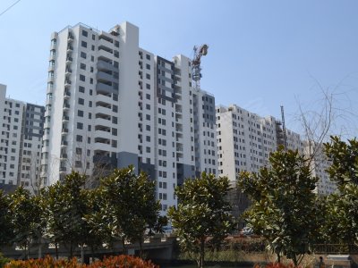 华城最新探索，自然美景之旅，寻找内心平和的旅程
