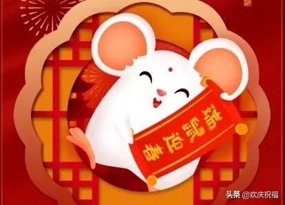 最新财运动态，把握机遇，学习成就财富阶梯