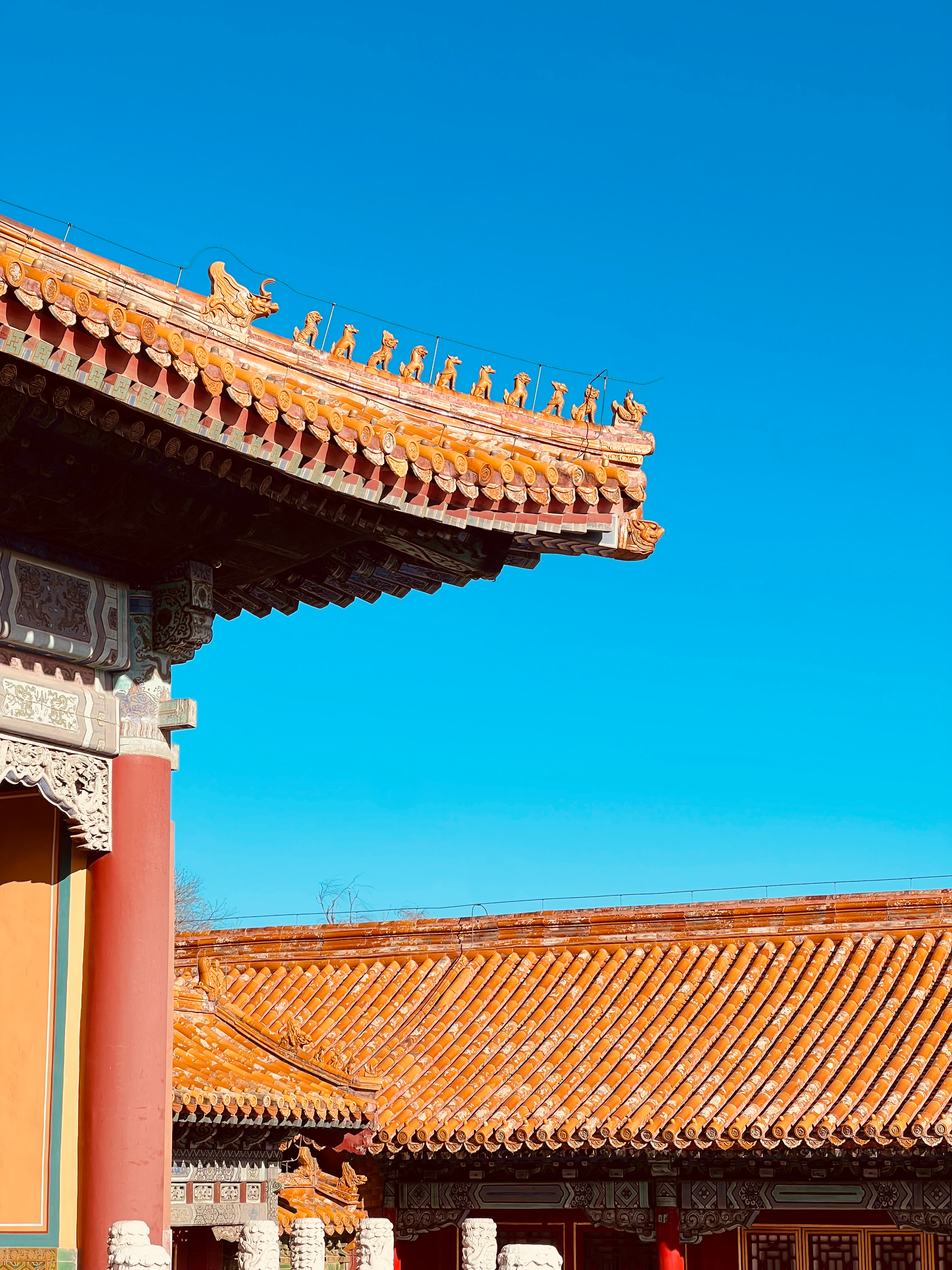 故宫最新探索，自然美景之旅，寻找内心平和宁静的旅程