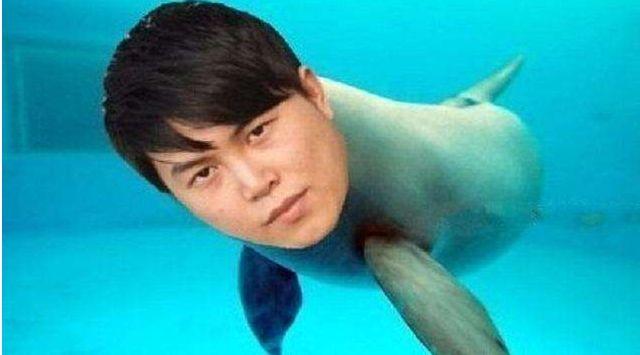 绝地求生比赛报名,爱与陪伴的冒险之旅启动!