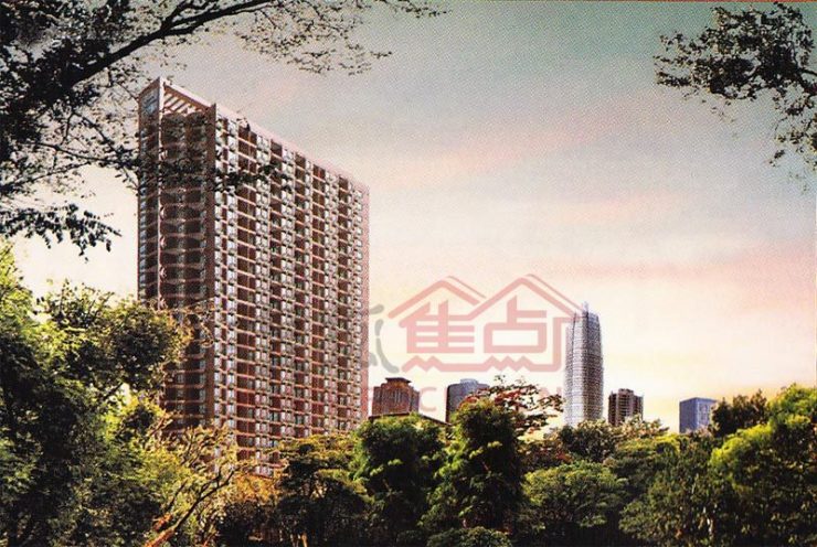 武强悦泰嘉园最新动态揭秘，小巷深处的独特风情