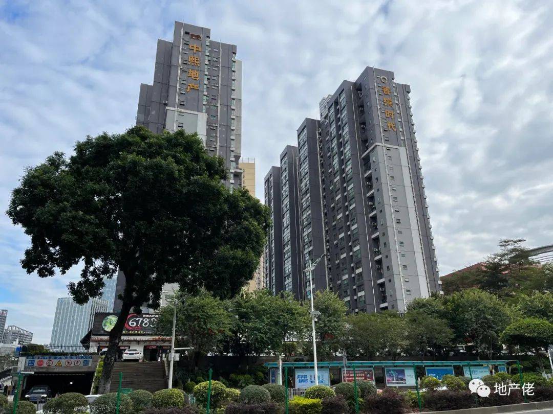 坦州最新房价信息揭秘，开启家的温馨探秘之旅