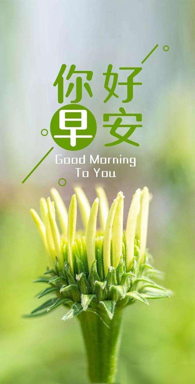 智慧家居 第212页
