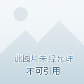 张裕三鞭酒价格表，探索学习曲线，自信酿造之旅