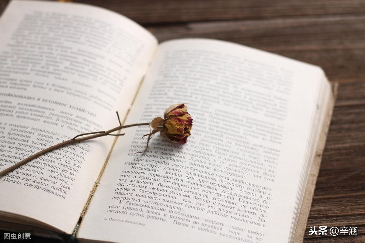 鱼不语新作发布,自信成就梦想之航,知识海洋中的遨游之旅