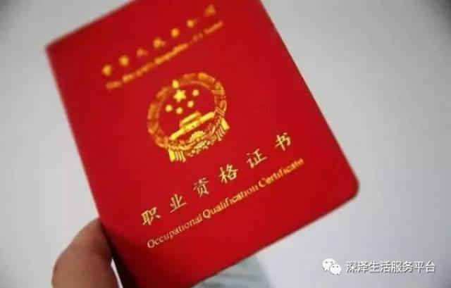 货运资格证取消最新消息揭秘，小巷中的意外发现之旅