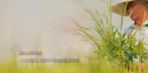 品质365上市时间及期待中的品质生活新篇章揭秘