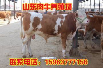 第1015页