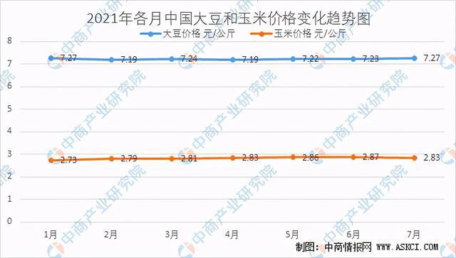 下半年冬瓜行情展望，冬瓜的友情故事与奇妙旅程分析