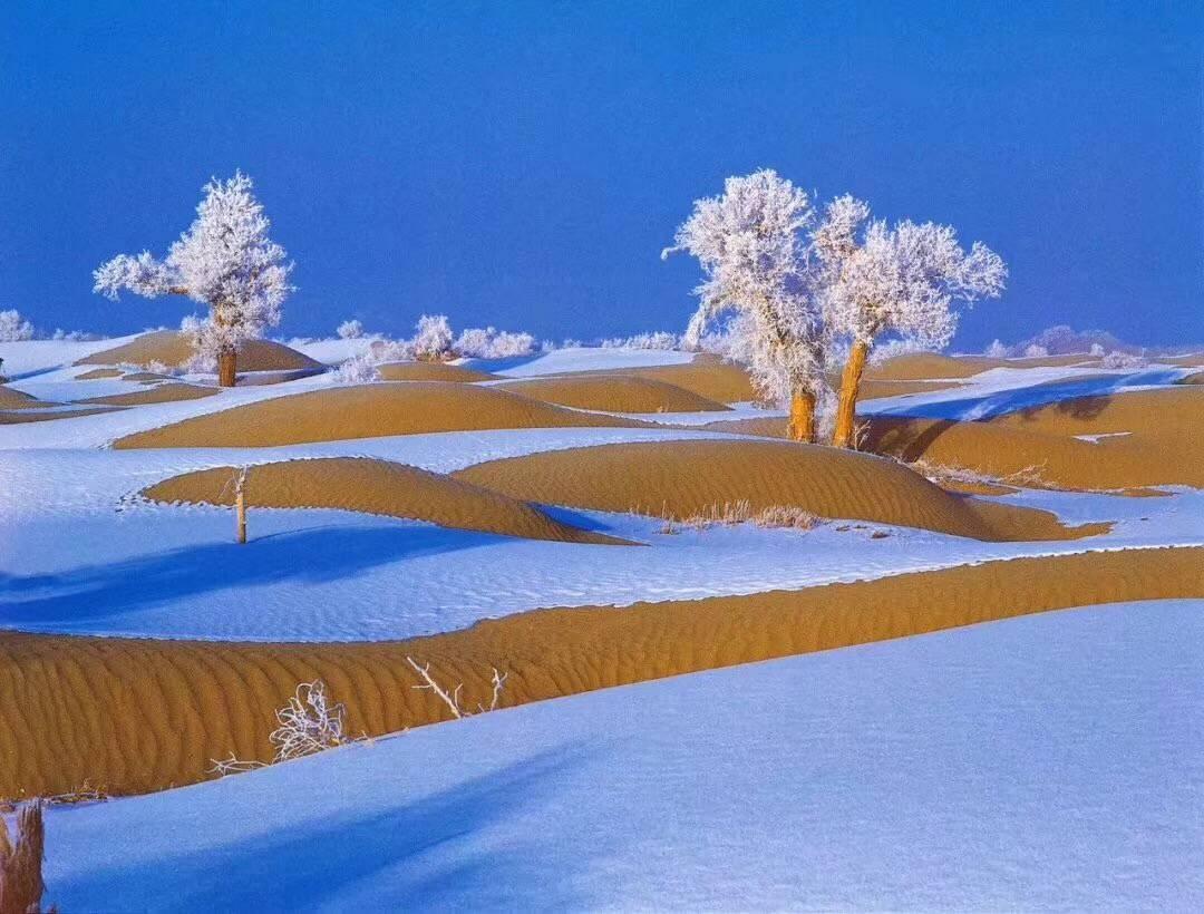 强冷空气最新动态，冷空气来袭，保暖措施需提前准备 🧣❄️