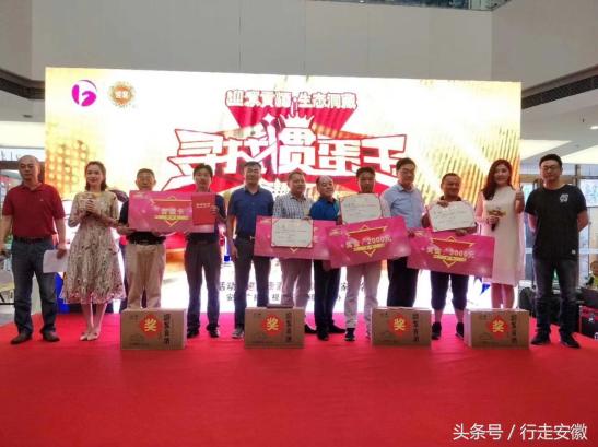 安徽卫视掼蛋比赛，智力角逐的精彩盛宴