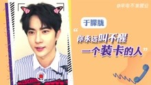 猫眼大明星，多元视角聚焦明星价值