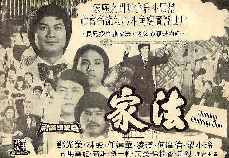 家法续集，传统与现代之间的深度思考