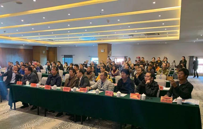 乡城至得荣，最新交通状况与温馨旅途日常故事