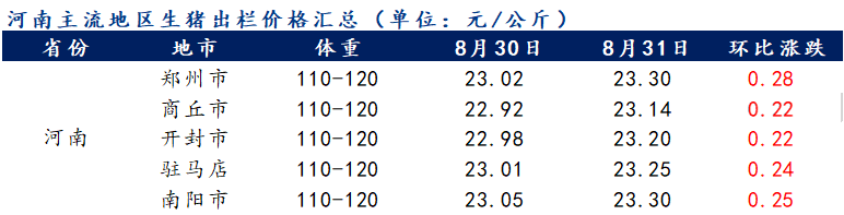 揭秘杞县生猪市场价格，市场动态与未来趋势分析