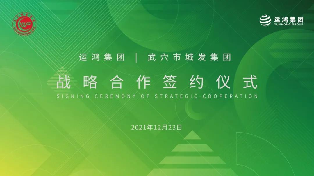 深度解析，运鸿上市背后的故事与真相探究