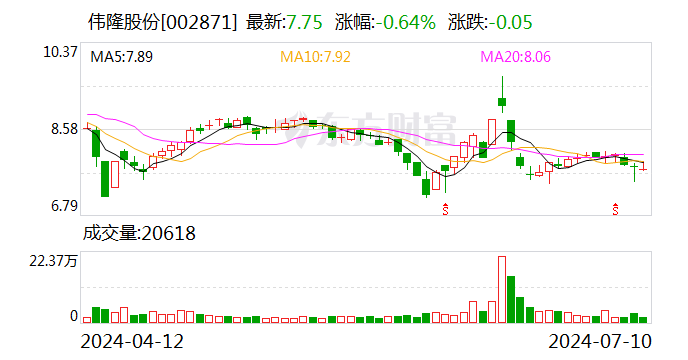 股票发行可转债,股票发行可转债，深度分析与观点阐述