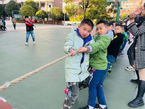 记一次激烈拔河比赛与小巷的惊喜发现之旅