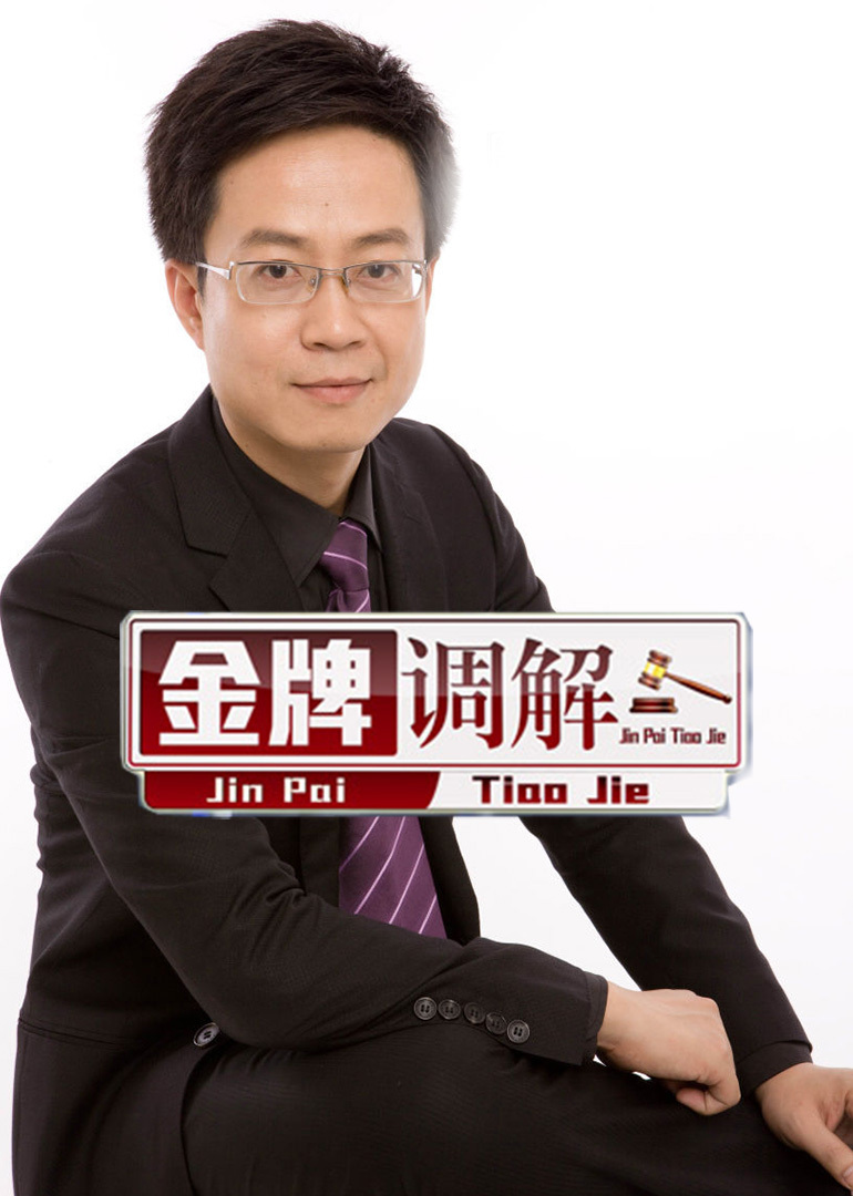 深度剖析，金牌调解精选案例回顾与解析
