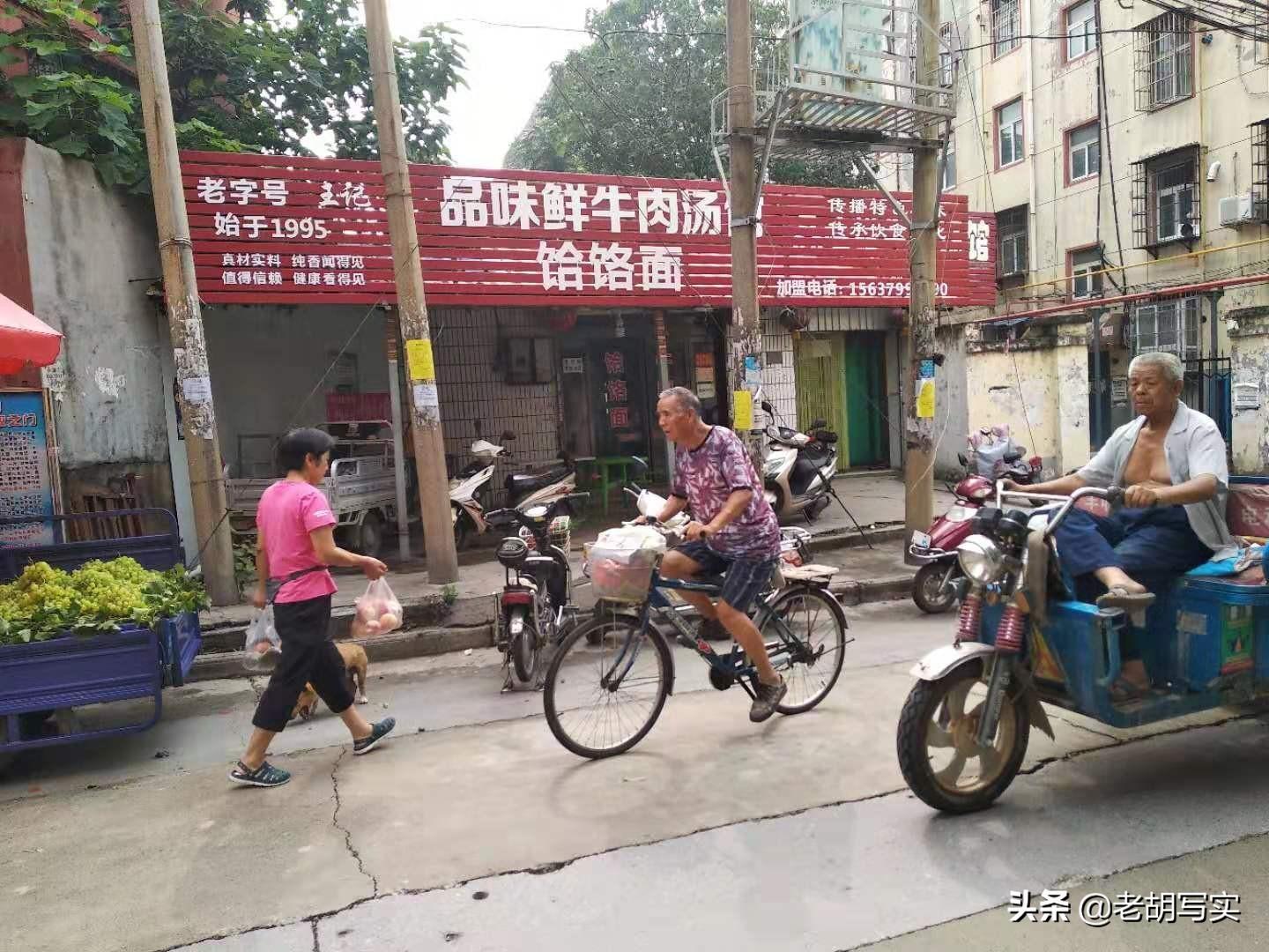 洛阳葛家岭最新资讯，如何获取并利用资讯完成相关任务全攻略