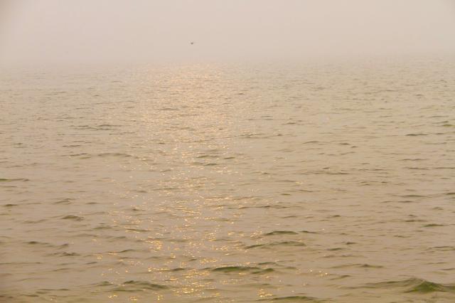 黄骅浅海西苑动态，城市发展与环境保护的博弈新观察