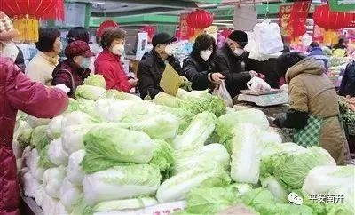 山东大白菜市场价格行情分析