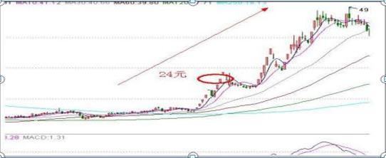 股票投资基础,入门指南与核心要素解析
