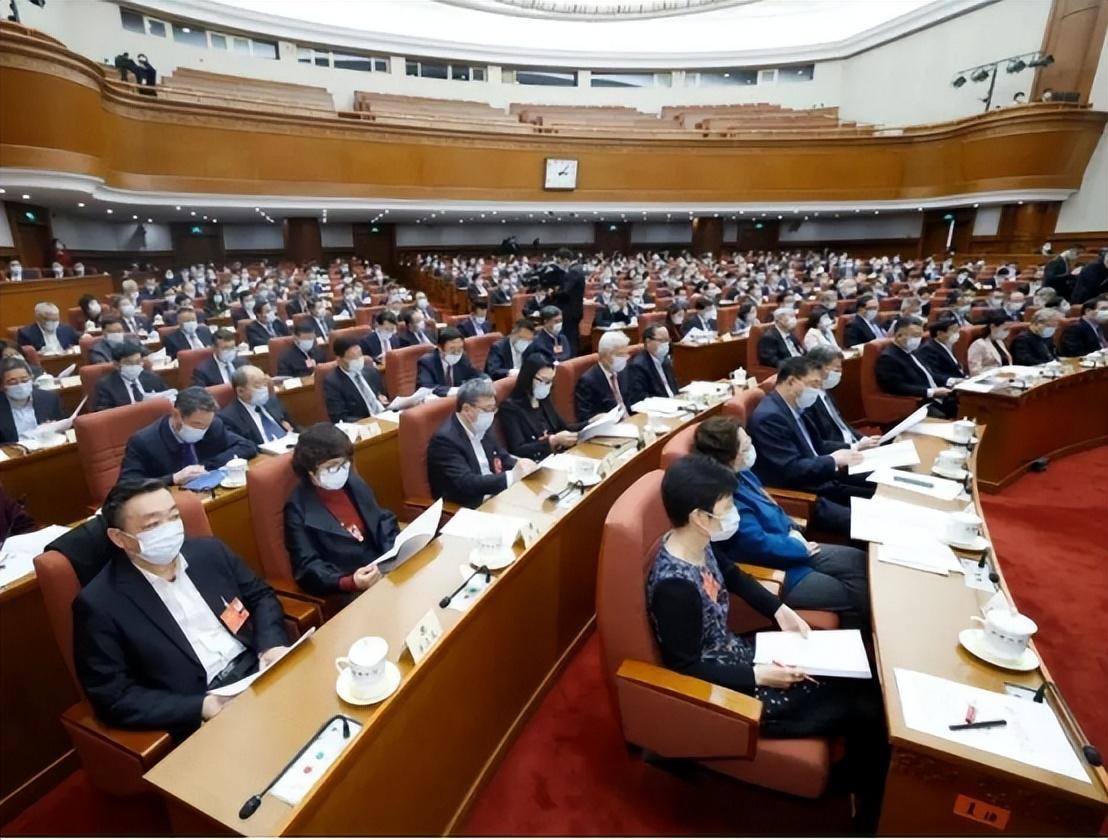 两会三胎政策最新动态，深度分析与个人观点解读
