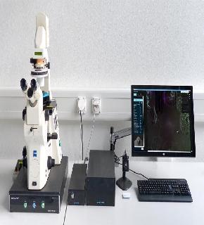 原子力显微镜秘境探索,价格背后的故事揭秘