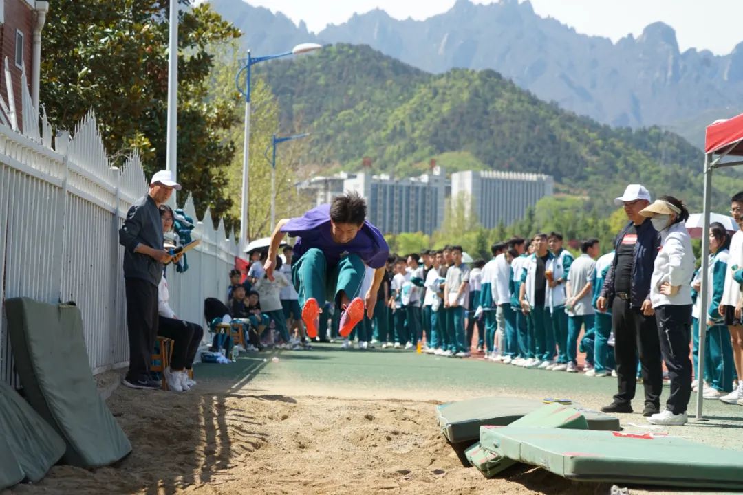 栾川贴吧一高最新动态全解析,初学者进阶攻略获取指南