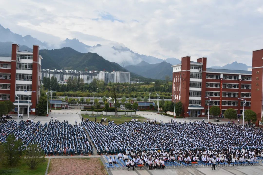 栾川贴吧一高最新动态全解析,初学者进阶攻略获取指南