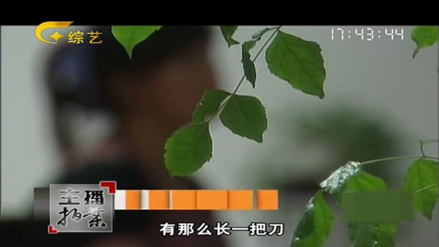 合租室友妻子的神秘小巷美食之旅探索与分享