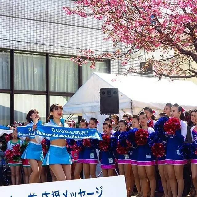 马拉松最新世界纪录，自然美景之旅的巅峰瞬间刷新记录