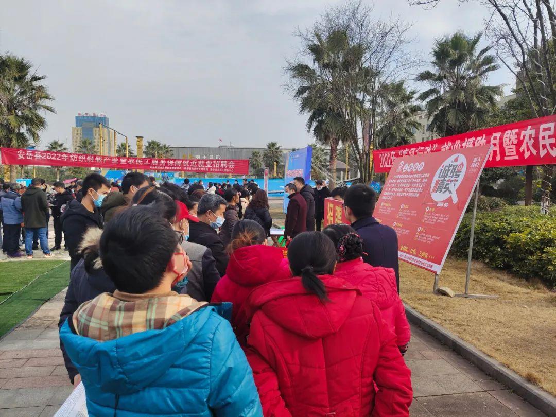 大足区最新招聘信息,科技之光引领未来职场之路