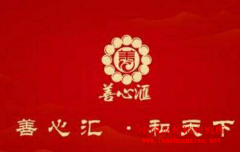 善心会最新动态,多维视角的观点分析深度解读
