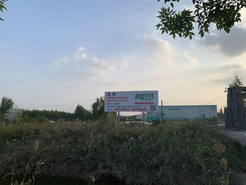 商河县最新招聘信息,小巷中的职业机遇