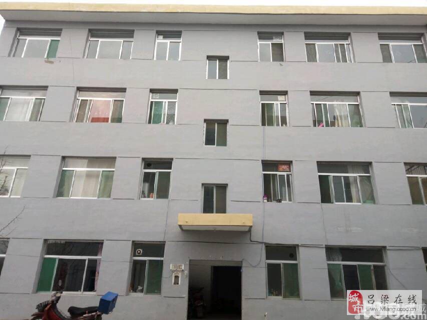 离石房屋出租最新消息，家的温馨与友情的奇遇之地