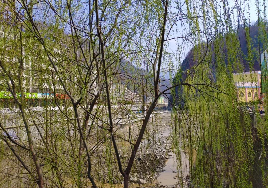 白河最新新闻，拥抱自然，心灵宁静之旅启程