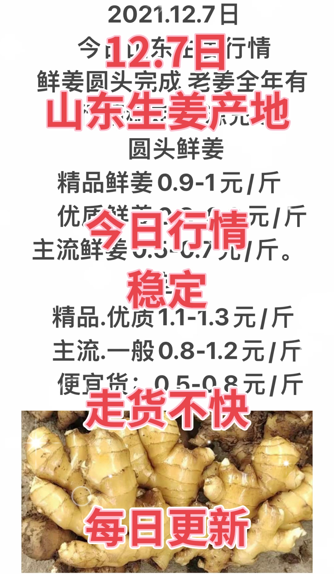 莱州生姜行情变化中的机遇与自我成长之路