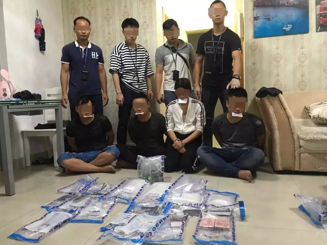 最新贩毒团伙深度剖析，复杂社会现象的警示与反思