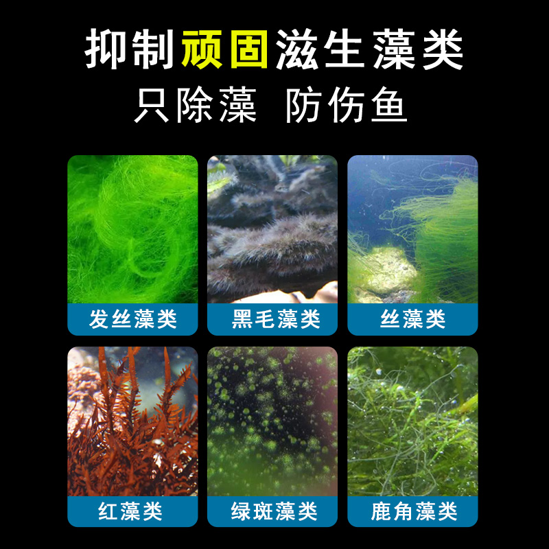最新藻琼，自然美景之旅，探寻内心平和与喜悦的轻松之旅