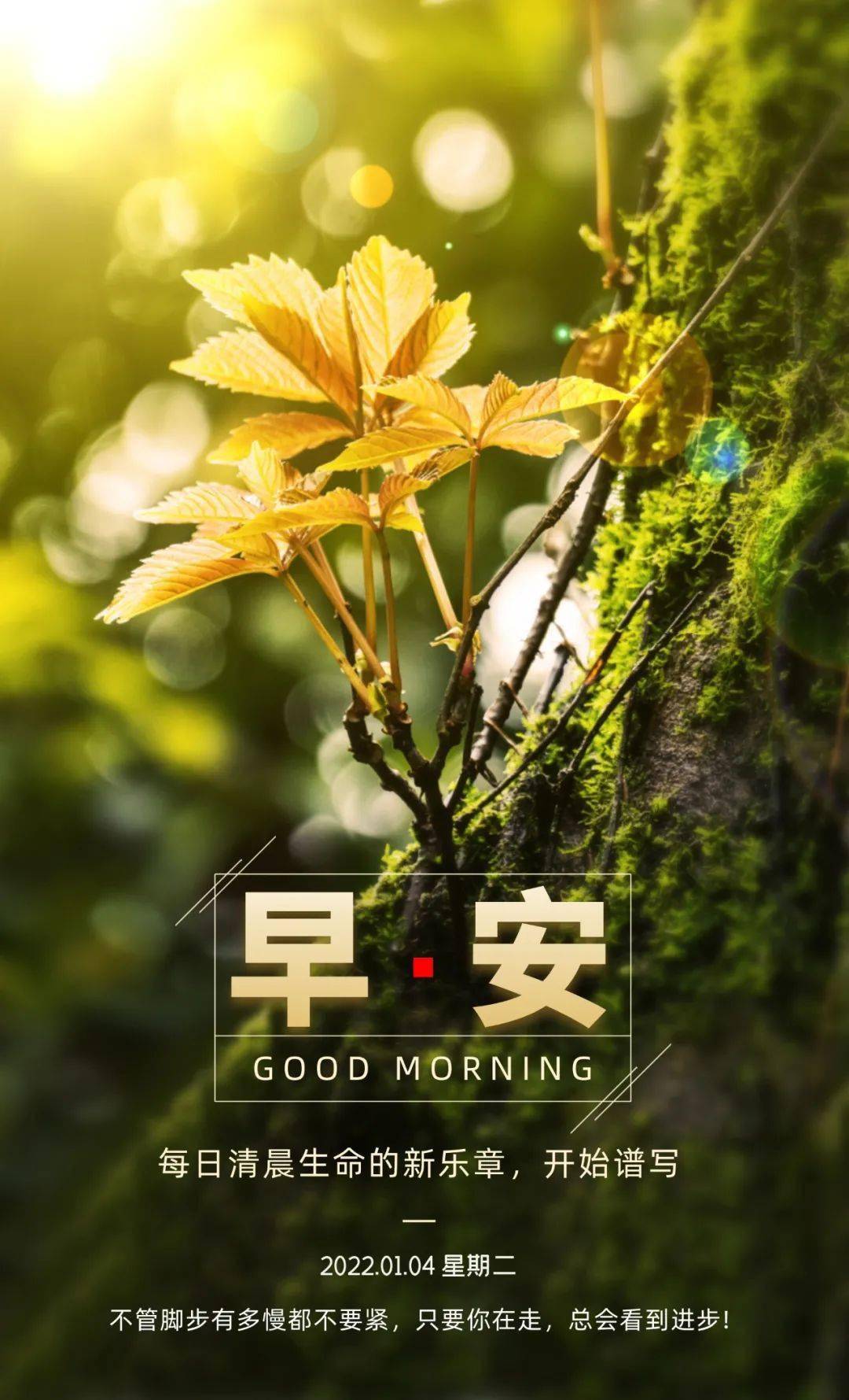 最新早安均科技产品介绍及特点概述