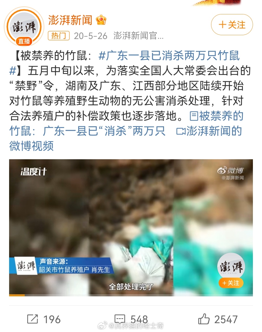 最新竹鼠科技产品革新生活体验